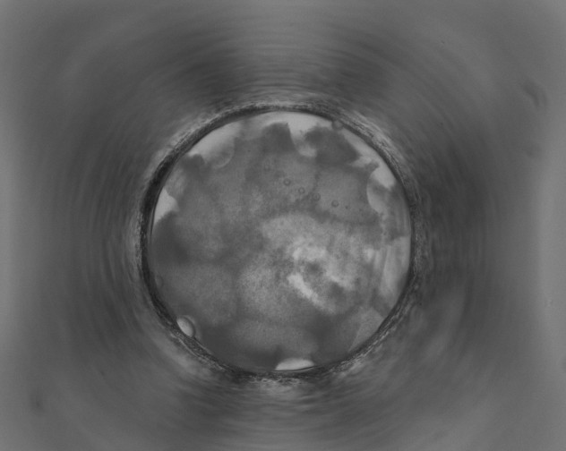 X0000111240346200907301311