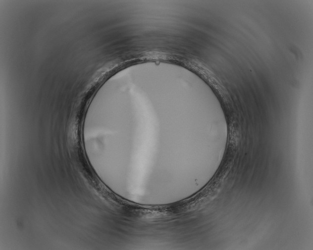 X0000111240347200907301311