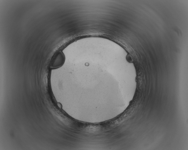 X0000111240350200907301311