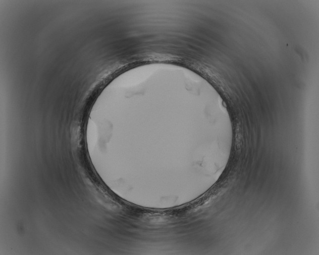 X0000111240351200907301311