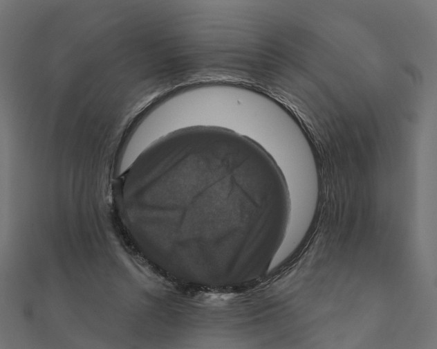X0000111240352200907301311