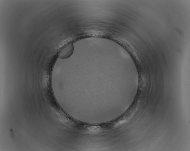 X0000111240355200907301311