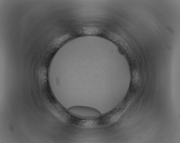 X0000111240356200907301311