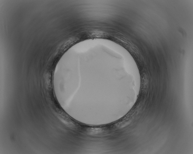 X0000111240361200907301311