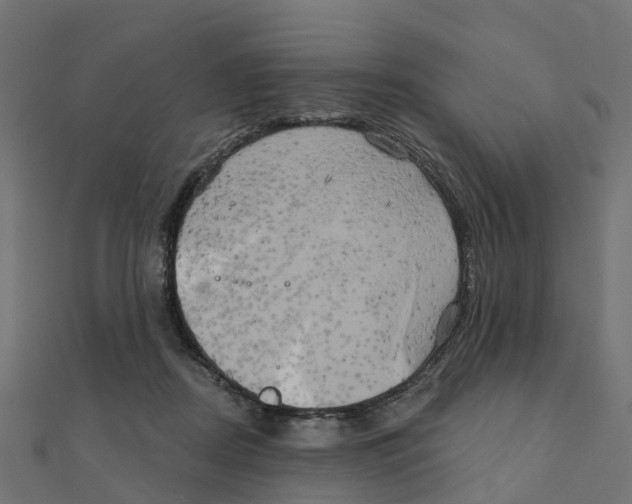 X0000111240362200907301311
