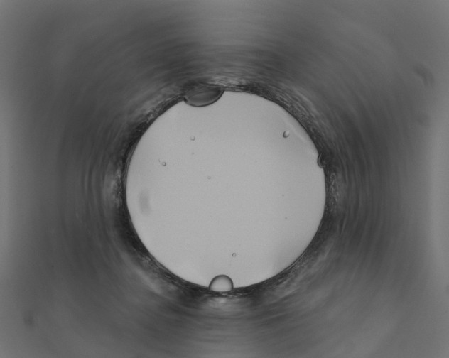 X0000111240364200907301311
