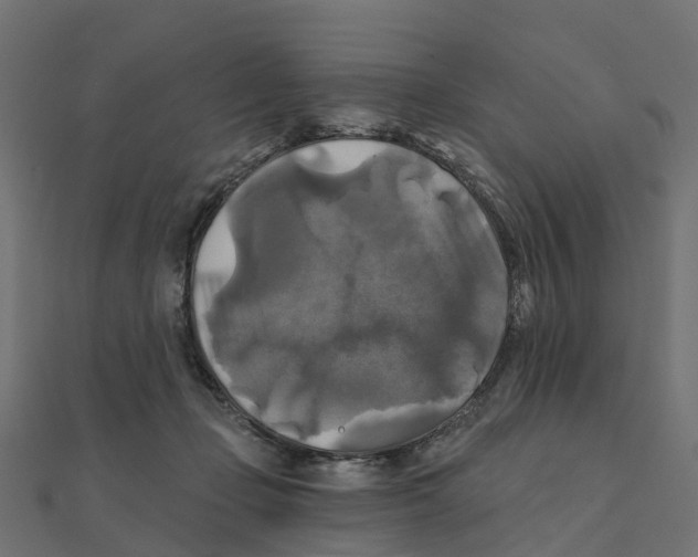 X0000111240365200907301311
