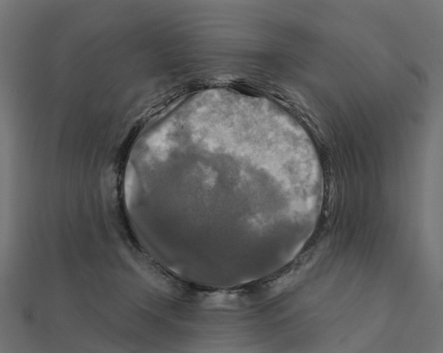 X0000111240366200907301311