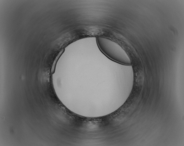 X0000111240368200907301311