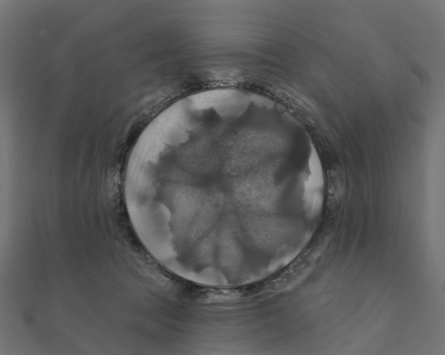 X0000111240369200907301311