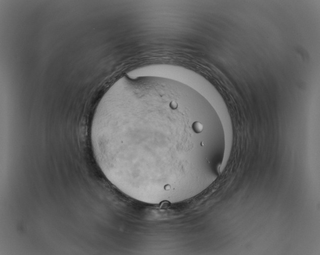 X0000111240372200907301311