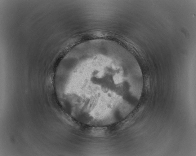 X0000111240373200907301311
