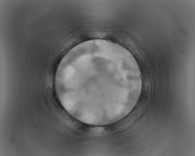 X0000111240374200907301311