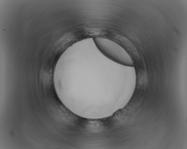 X0000111240376200907301311