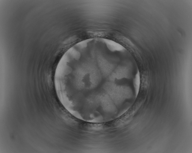 X0000111240377200907301311