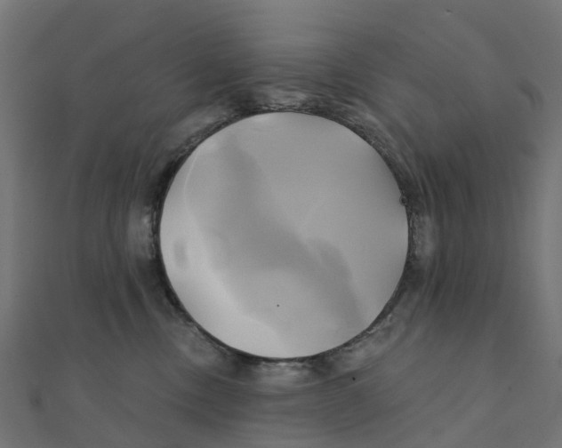 X0000111240378200907301311
