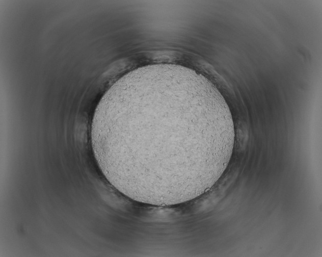 X0000111240379200907301311