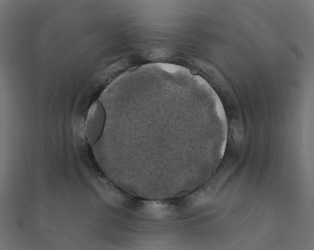 X0000111240380200907301311