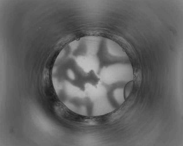 X0000111240381200907301311