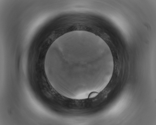 X0000111240383200907301311