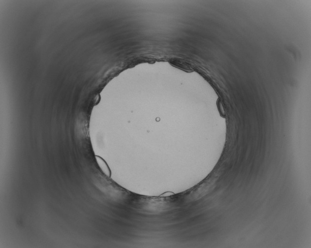 X0000111240384200907301311