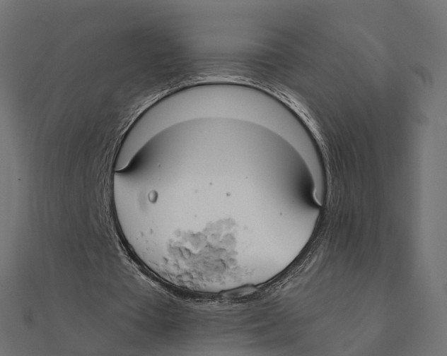 X0000111240385200907301311