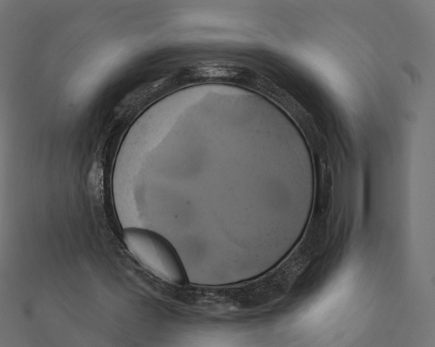 X0000111240387200907301311
