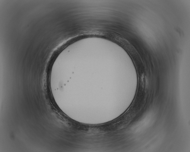 X0000111240388200907301311