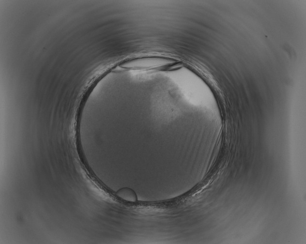 X0000111240389200907301311