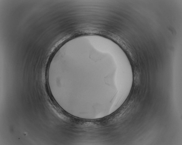 X0000111240390200907301311