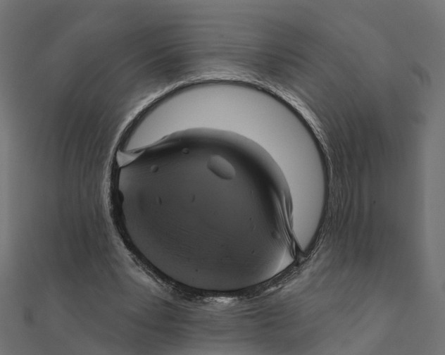 X0000111240391200907301311