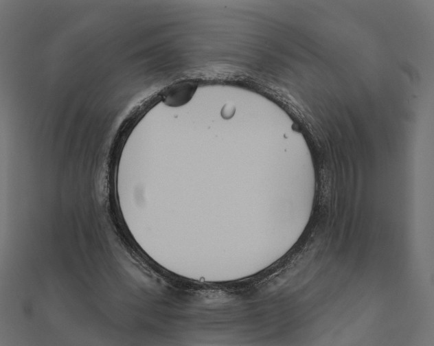 X0000111240392200907301311