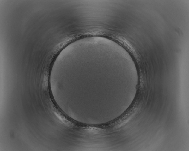 X0000111240393200907301311