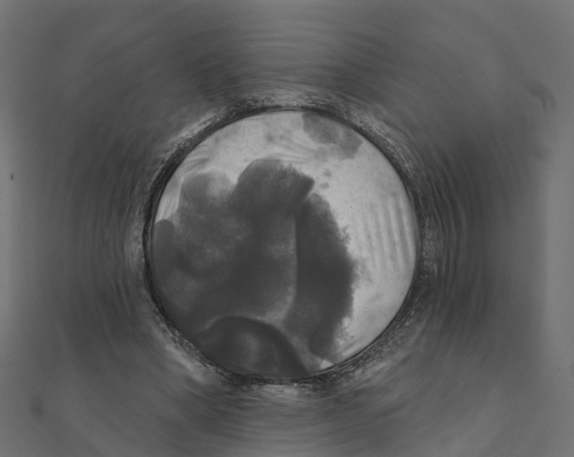 X0000111240394200907301311