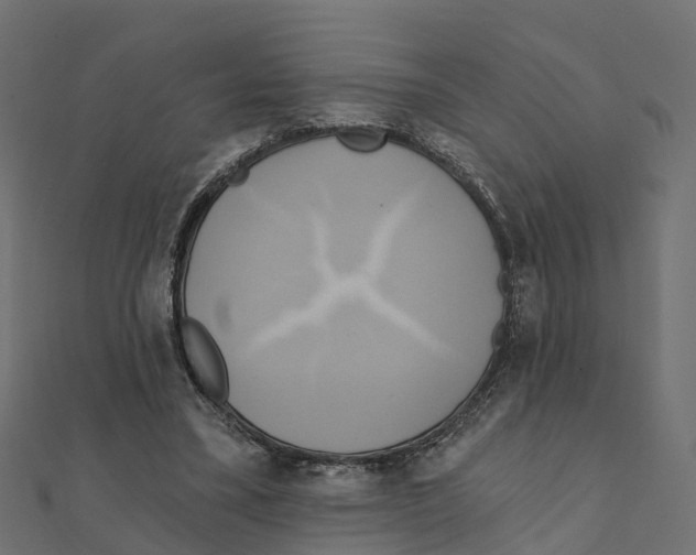 X0000111240395200907301311