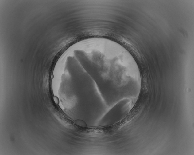 X0000111240398200907301311
