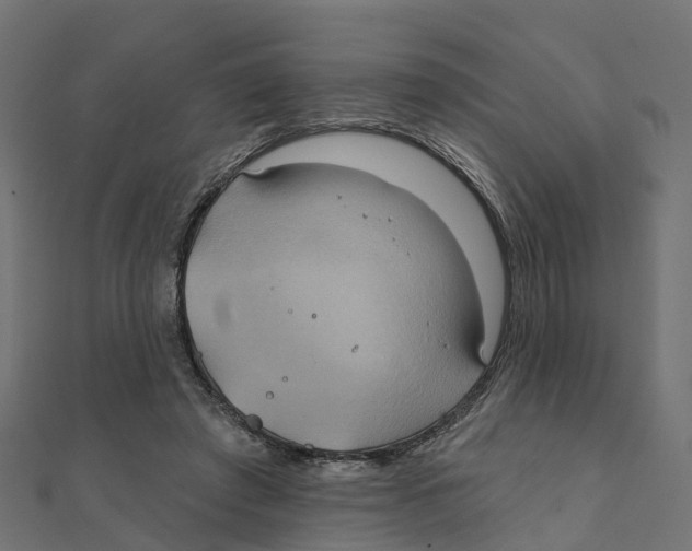 X0000111240401200907301310