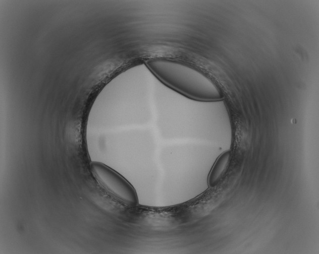 X0000111240403200907301310