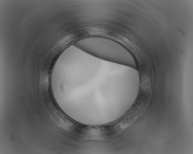 X0000111240405200907301310