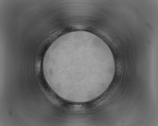 X0000111240406200907301310