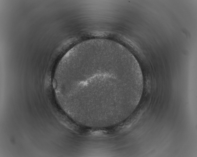 X0000111240407200907301310