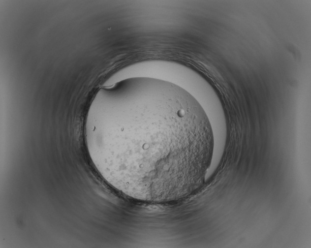 X0000111240409200907301310