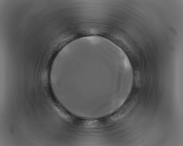 X0000111240410200907301310