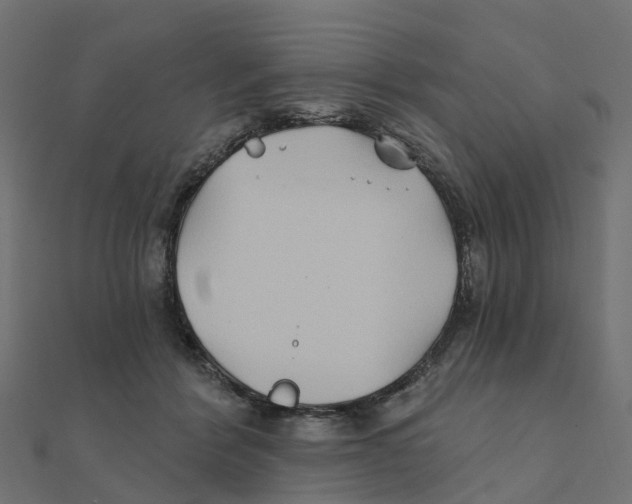 X0000111240412200907301310