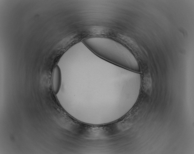 X0000111240413200907301310