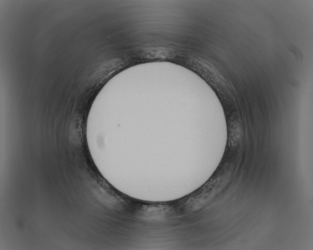 X0000111240414200907301310