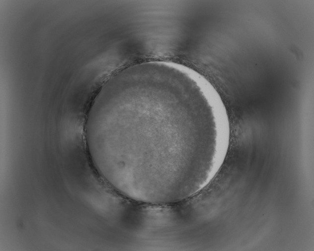 X0000111240415200907301310