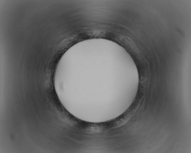 X0000111240416200907301310