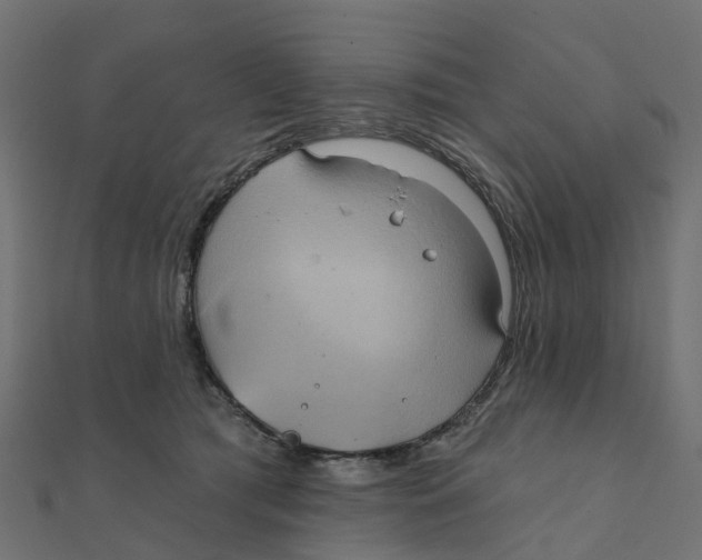 X0000111240417200907301310