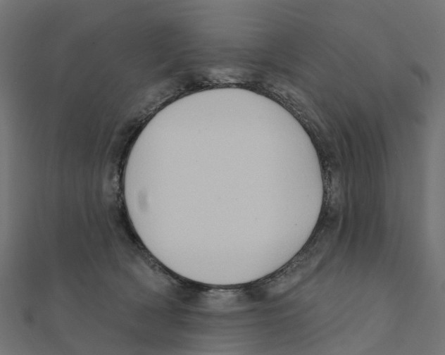 X0000111240418200907301310